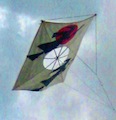 Thumbnail for post: Korean Fighting Kites – part 1