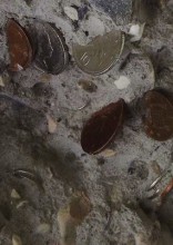 Hur Shan: Lucky Coins (detail) (2010). 170x20x17cm. Concrete, plywood, timber, coins