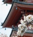 Thumbnail for post: Female stars of the East Asian screen