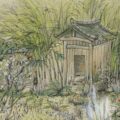 Thumbnail for post: A Korean Garden at the Chelsea Flower Show