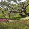 Thumbnail for post: 2011 Travel Diary day 4: the private side of Sancheong