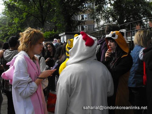 Fans in costumes