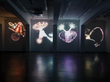 Je Baak: The structure of (Installation view)