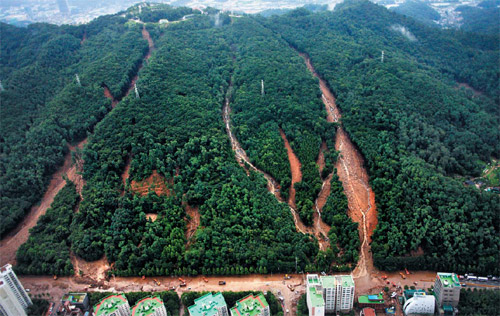 The Umyeonsan landslide in Seoul The Umyeonsan landslide in Seoul