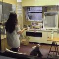 Thumbnail for post: Exhibition visit: NOWS – Traverse over Time and Space, Hanmi Gallery