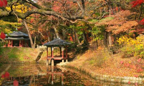 The Secret Garden