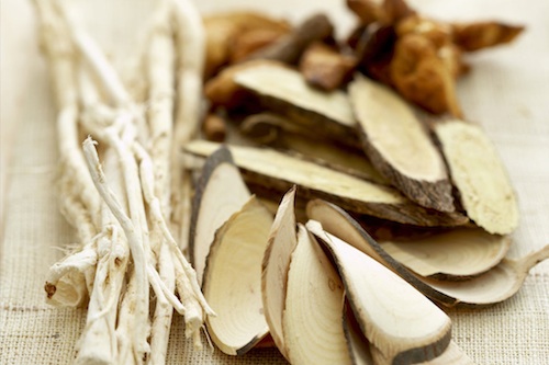 Some of the herbs used in Traditional Korean Medicine