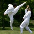 Thumbnail for post: Taekkyeon gets UNESCO listing