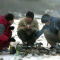 Thumbnail for post: Daytime Drinking (낮술, 2008) review: a road movie of self-inflicted misadventure