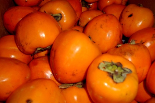Persimmons