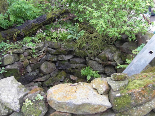A close-up of the bunker shows the immense attention to detail: weathered stones, ferns, weeds, and a rotten tree-trunk all look as if they have been there for decades A close-up of the bunker shows the immense attention to detail: weathered stones, ferns, weeds, and a rotten tree-trunk all look as if they have been there for decades