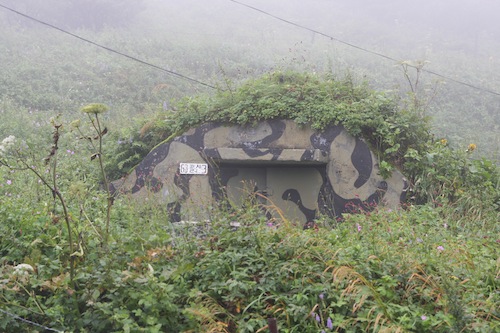 A scene in the DMZ. Image provided by Hwang Jihae's DMZ Garden team A scene in the DMZ. Image provided by Hwang Jihae's DMZ Garden team