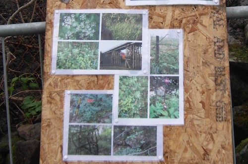 Photographs of the landscape that the DMZ Quiet Time garden is trying to recreate. The construction of the watchtower is based on the girders of Freedom Bridge Photographs of the landscape that the DMZ Quiet Time garden is trying to recreate. The construction of the watchtower is based on the girders of Freedom Bridge
