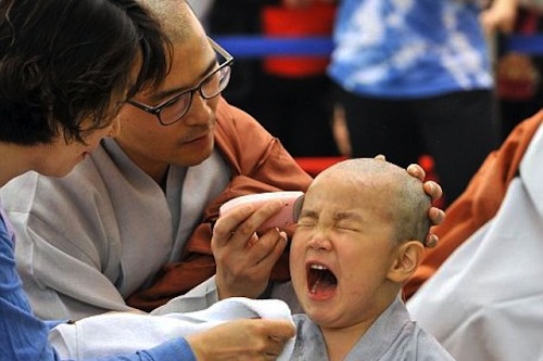 A South Korean boy gets his head shaved by a Buddhist monk during a "Children Becoming Buddhist monks" - ceremony at Jogye temple in Seoul A South Korean boy gets his head shaved by a Buddhist monk during a "Children Becoming Buddhist monks" - ceremony at Jogye temple in Seoul