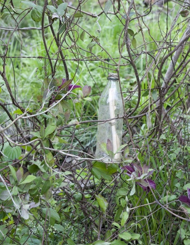 Message in a bottle