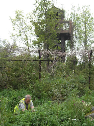 Some adjustments to the undergrowth beside the stream Some adjustments to the undergrowth beside the stream