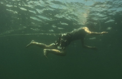 Young-chan feeling the freedom of the sea - but still tethered for his own safety Young-chan feeling the freedom of the sea - but still tethered for his own safety