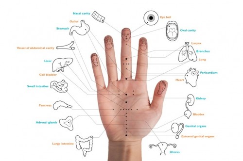 Korean hand acupuncture chart