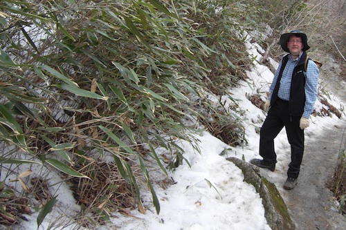 Ice on the Jirisan trail