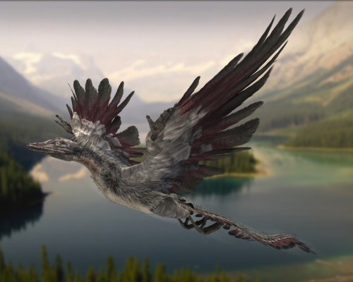 An artist's impression of an archaeopteryx (source: KBS)