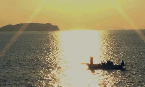 Still from A Fish
