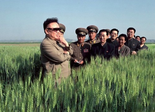 Kim Jong-il looks at a field of wheat