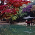 Thumbnail for post: The Secret Garden in Autumn