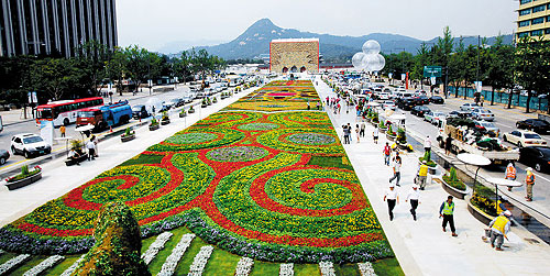 Gwanghwamun flower carpet