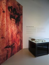 The cosmetics counter
