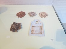 The cosmetics counter