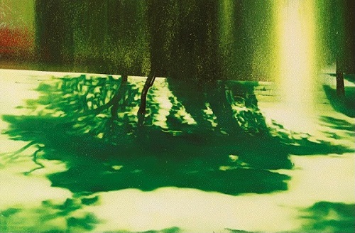 Hyun Hyojun: The Forest in Glasgow's Park II, 2011-12