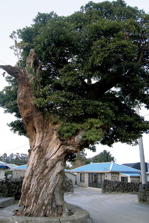 The April 3 Massacre Tree