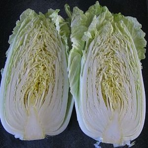 Kimchi cabbage