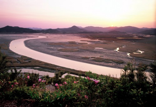 A classic view of the Suncheon Bay mudflats