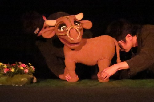 A very cute cow appeared from nowhere