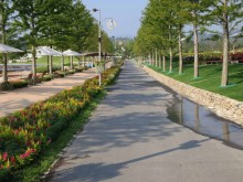 The main East-West thoroughfare in the Suncheon expo, bordered with celosia