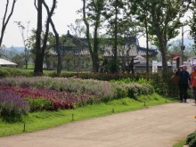 Near the Bridge of Dreams on the East side of the Dongcheon River
