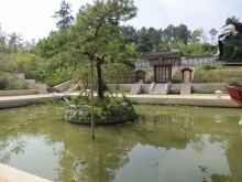 The square pond of the Palace Garden