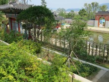 The terraces at the back of the Palace Garden