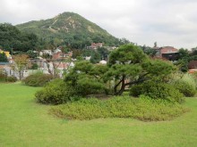 The modern garden on the roof of Seoul Museum