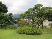 The modern garden on the roof of Seoul Museum