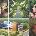 Thumbnail for post: 2013 Travel Diary #13: The Sancheong Oriental Medicinal Herb Institute