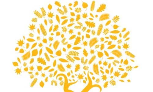 soas logo
