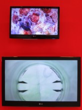 Se Hee Kim: Observation of the invisible (detail)