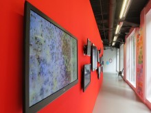 Se Hee Kim: Observation of the invisible (Left), Cell Diary (Right), Video & Drawing Installation, 2013