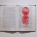 Thumbnail for post: Exhibition visit: Kim Jihee — Between the Lines, at cueB Gallery