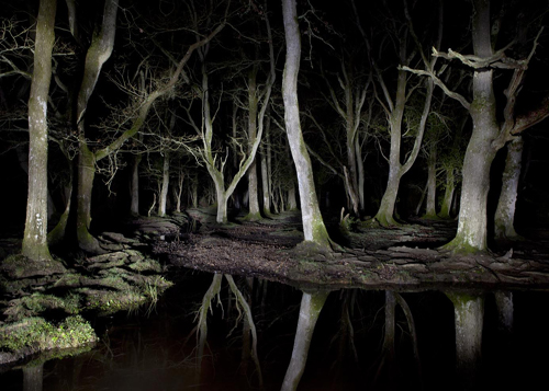 Kim Shinwook: New Forest 2012