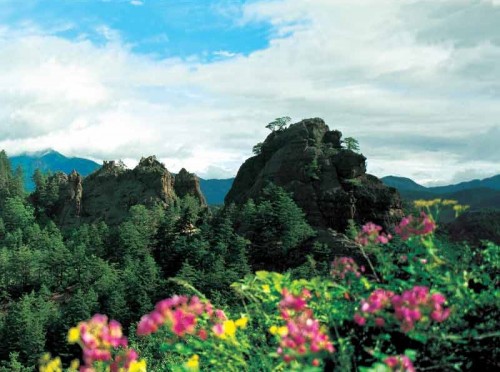 Mt Chilbo biosphere reserve