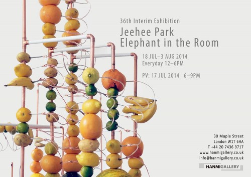 Elephant in the Room poster