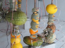 Jeehee Park: Fruit Battery (2014). Installed at Hanmi Gallery. 24 July 2014